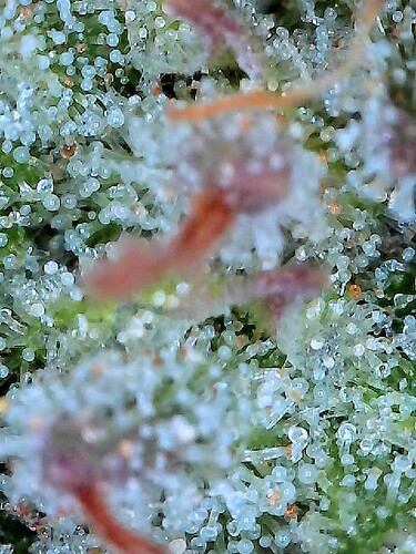 2025-07-25-23-26-27-012