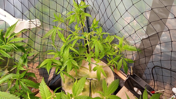 Growreport Bild 7