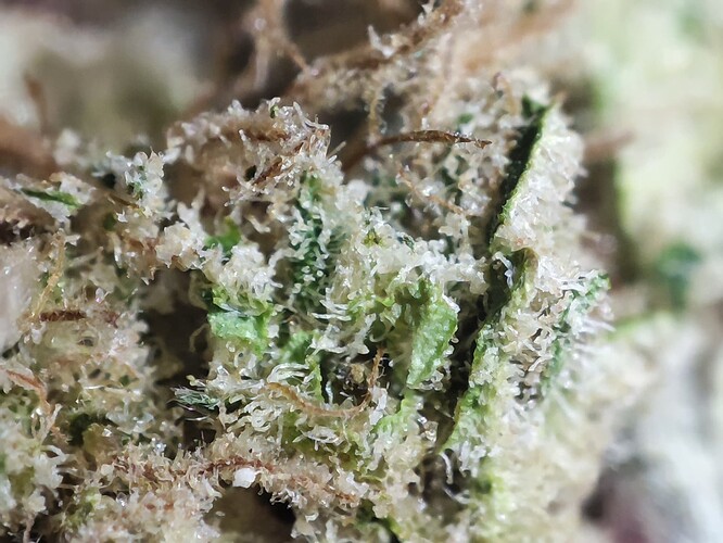 Growreport Bild 2