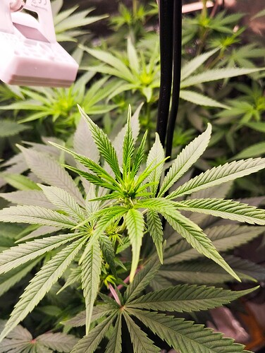 Growreport Bild 9