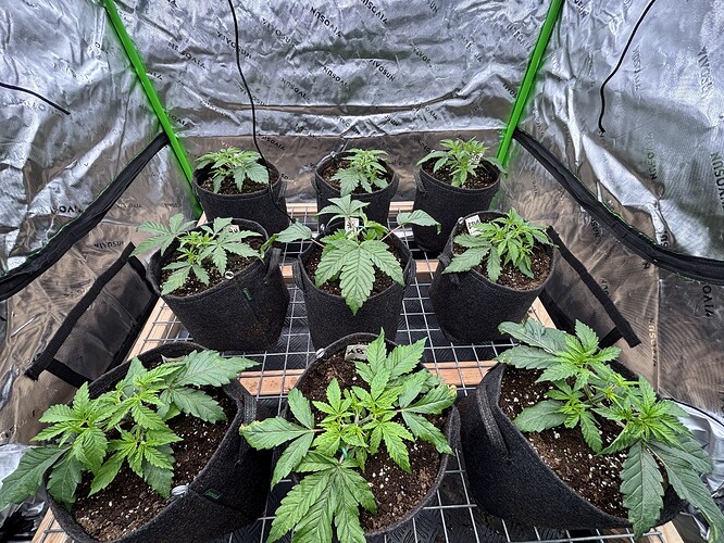 Growreport Bild 8