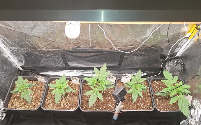 Growreport Bild 2