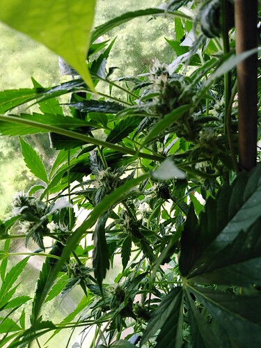 Growreport Bild 4