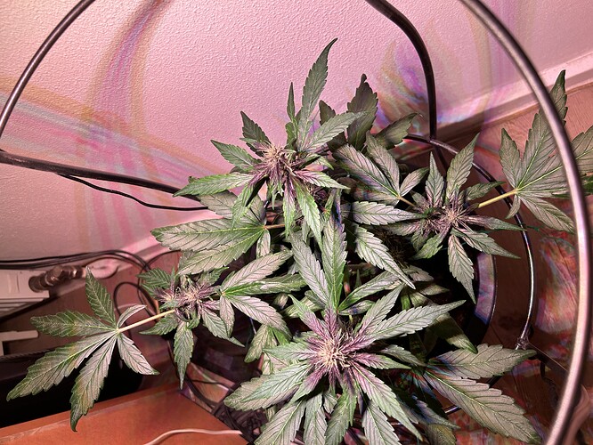 Growreport Bild 18