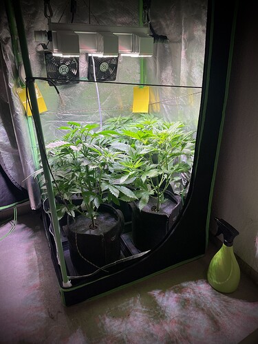 Growreport Bild 2