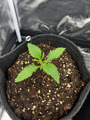 Growreport Bild 12