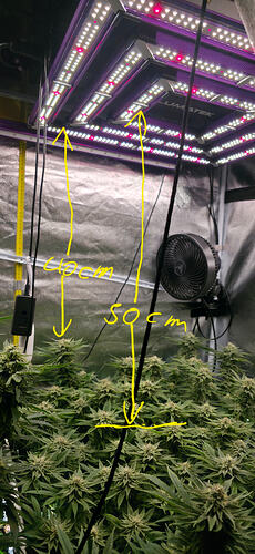 Growreport Bild 25