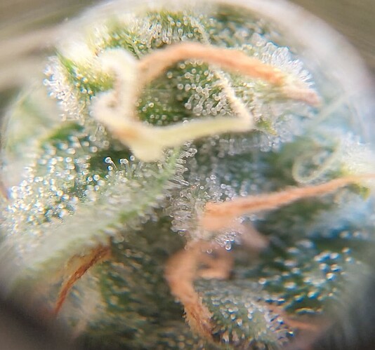 Growreport Bild 21