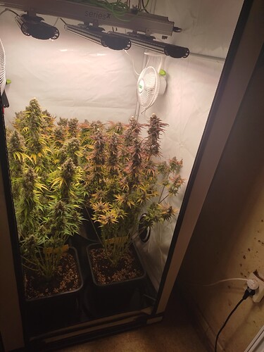 Growreport Bild 18