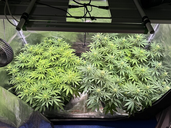 Growreport Bild 30