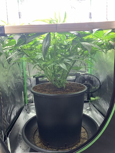 Growreport Bild 25