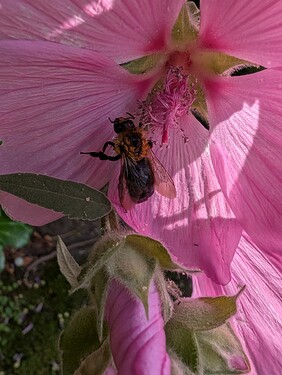 PXL_20250629_155313312.MP