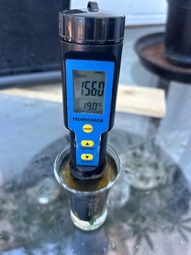 Growreport Bild 41