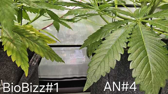 Growreport Bild 6
