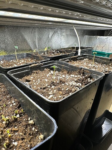 Growreport Bild 32