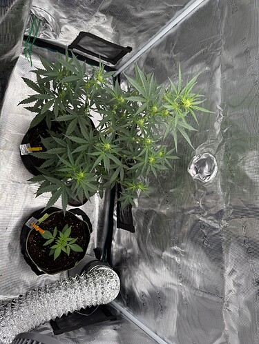 Growreport Bild 9