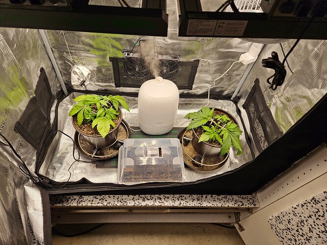 Growreport Bild 28
