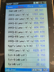 Growreport Bild 1