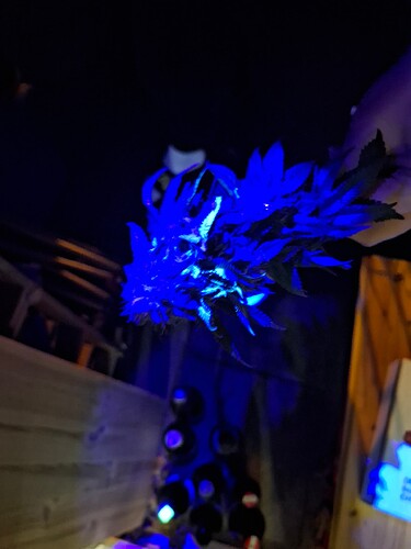 Growreport Bild 1