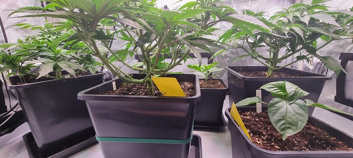 Growreport Bild 10
