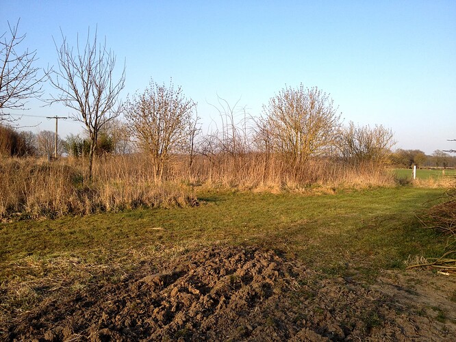 Grow25_0323_Outback_2