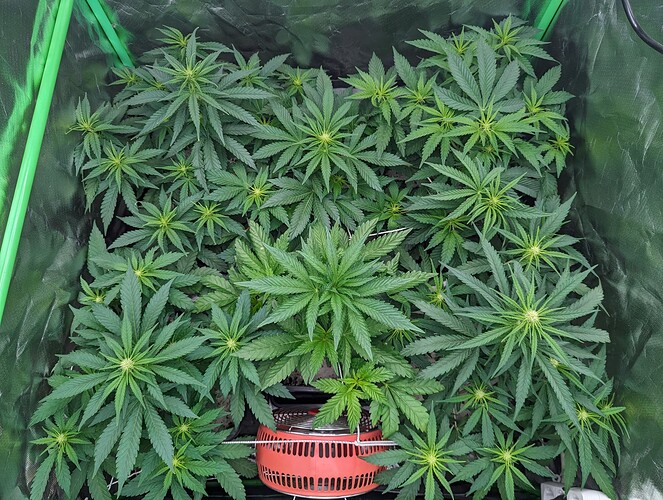 PXL_20240519_105126538