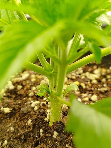 Growreport Bild 11