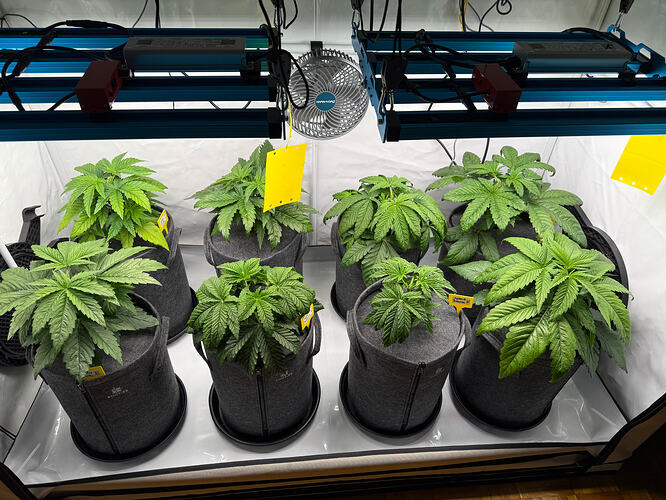 Growreport Bild 8