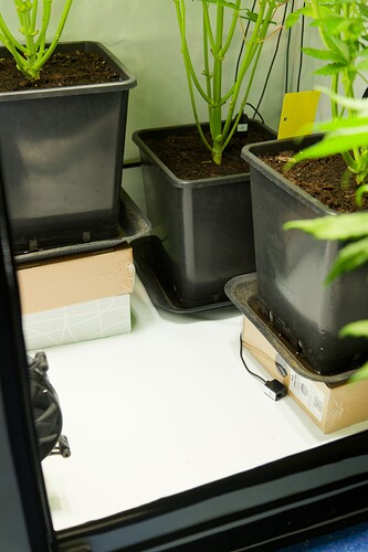 Growreport Bild 7
