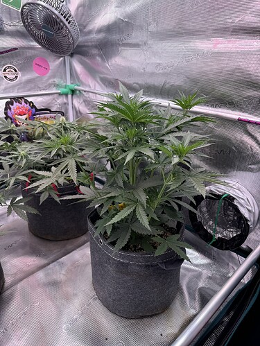 Growreport Bild 14