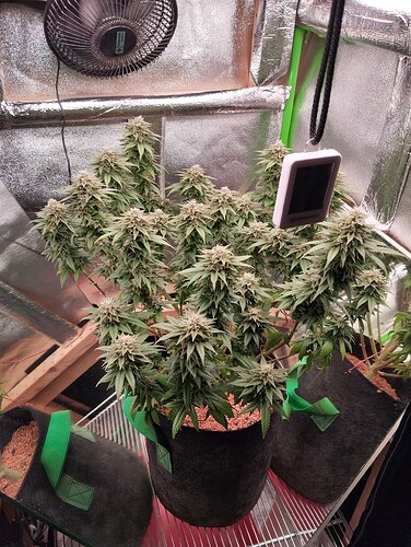 Growreport Bild 11
