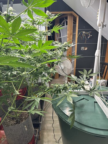 Growreport Bild 26