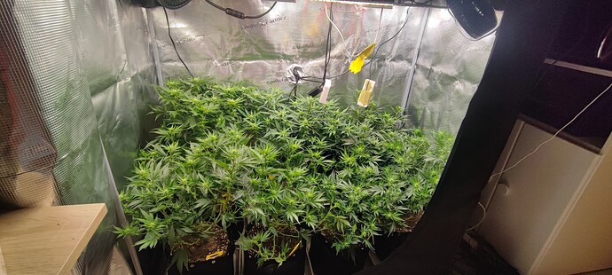 Growreport Bild 15