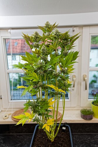 Growreport Bild 17