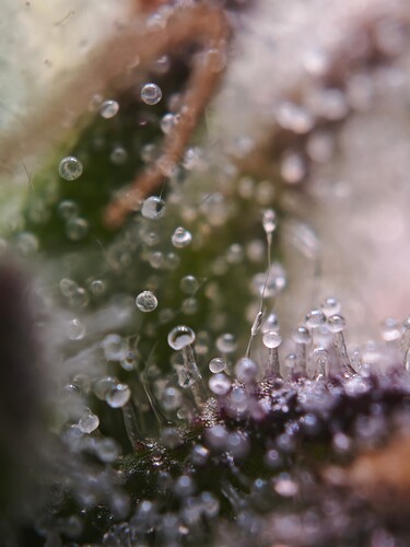 MVIMG_20251121_193456