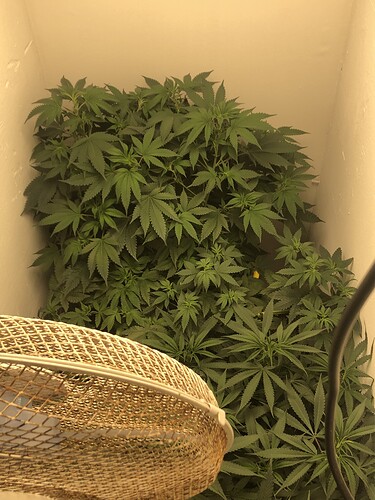 Growreport Bild 16