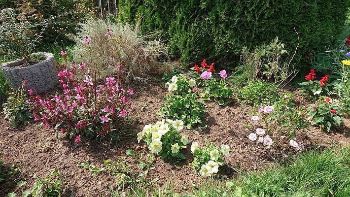 Growreport Bild 27