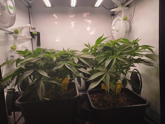 Growreport Bild 5