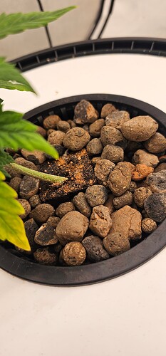 Growreport Bild 8