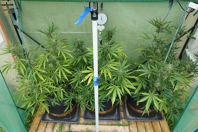 Growreport Bild 18