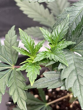 Growreport Bild 12