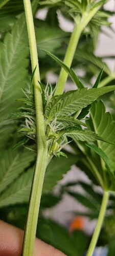 Growreport Bild 12
