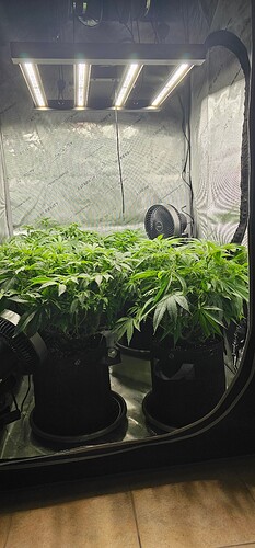 Growreport Bild 14