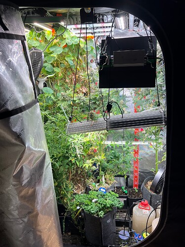 Growreport Bild 12