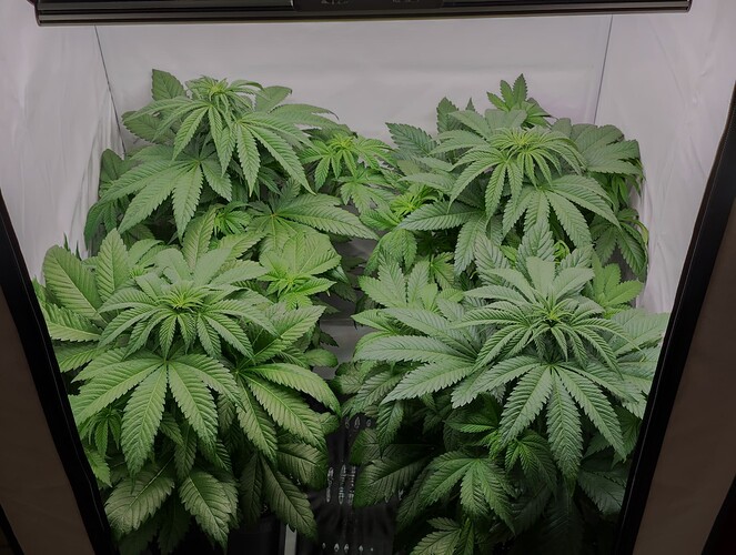 Growreport Bild 11