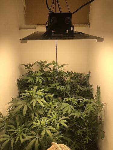 Growreport Bild 5