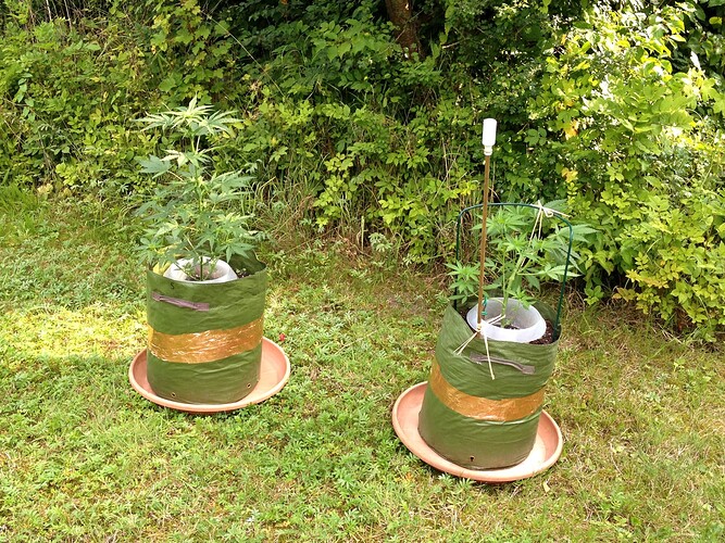 Growreport Bild 10