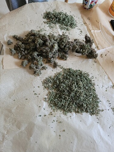 Growreport Bild 11
