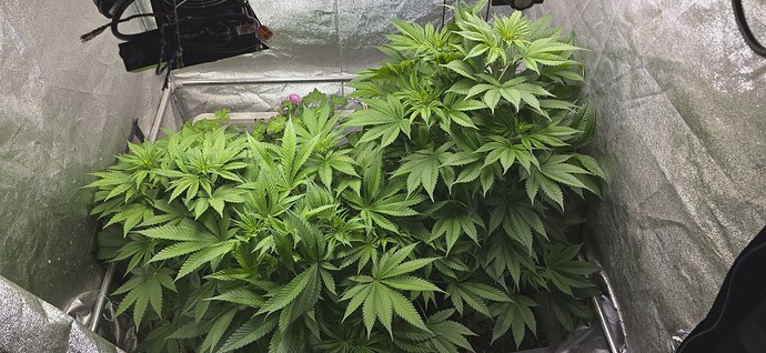 Growreport Bild 5