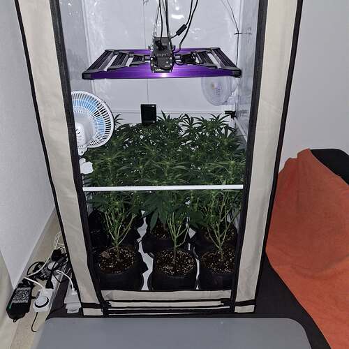 Growreport Bild 2